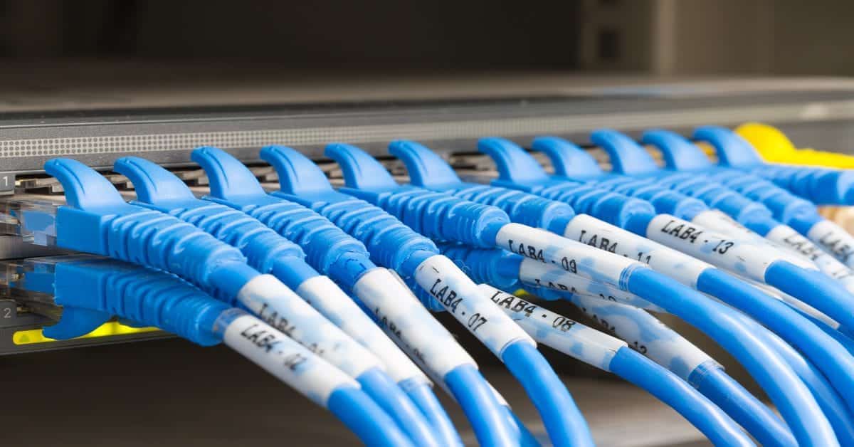 Numerous blue network cables are plugged into an electronic device. Each cable has a white label wrapped around it.