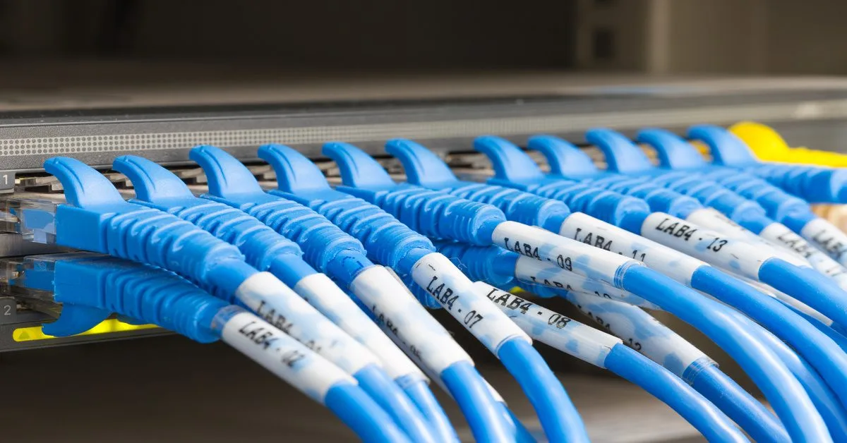 Numerous blue network cables are plugged into an electronic device. Each cable has a white label wrapped around it.
